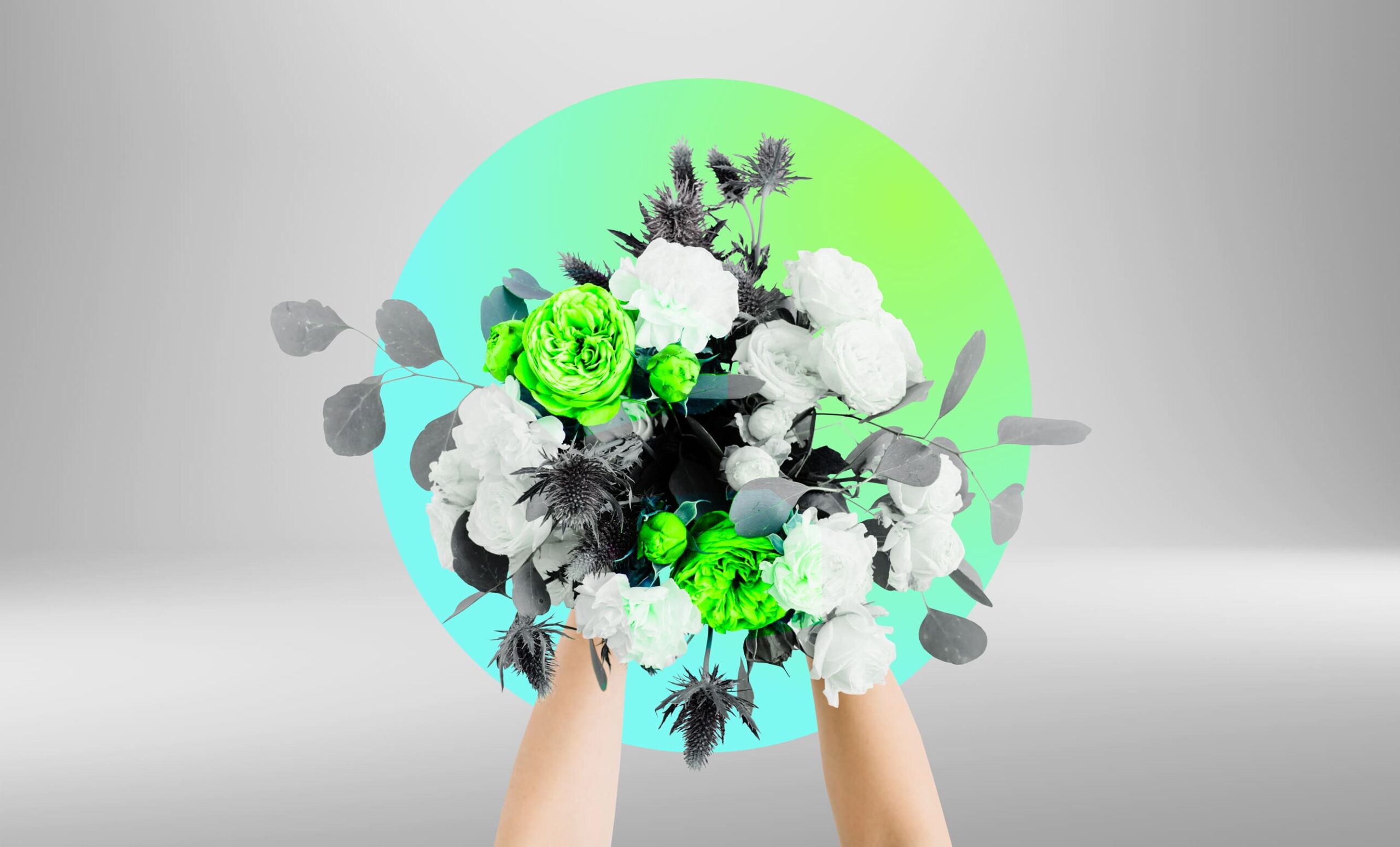 Muwit Werbeagentur Südtirol