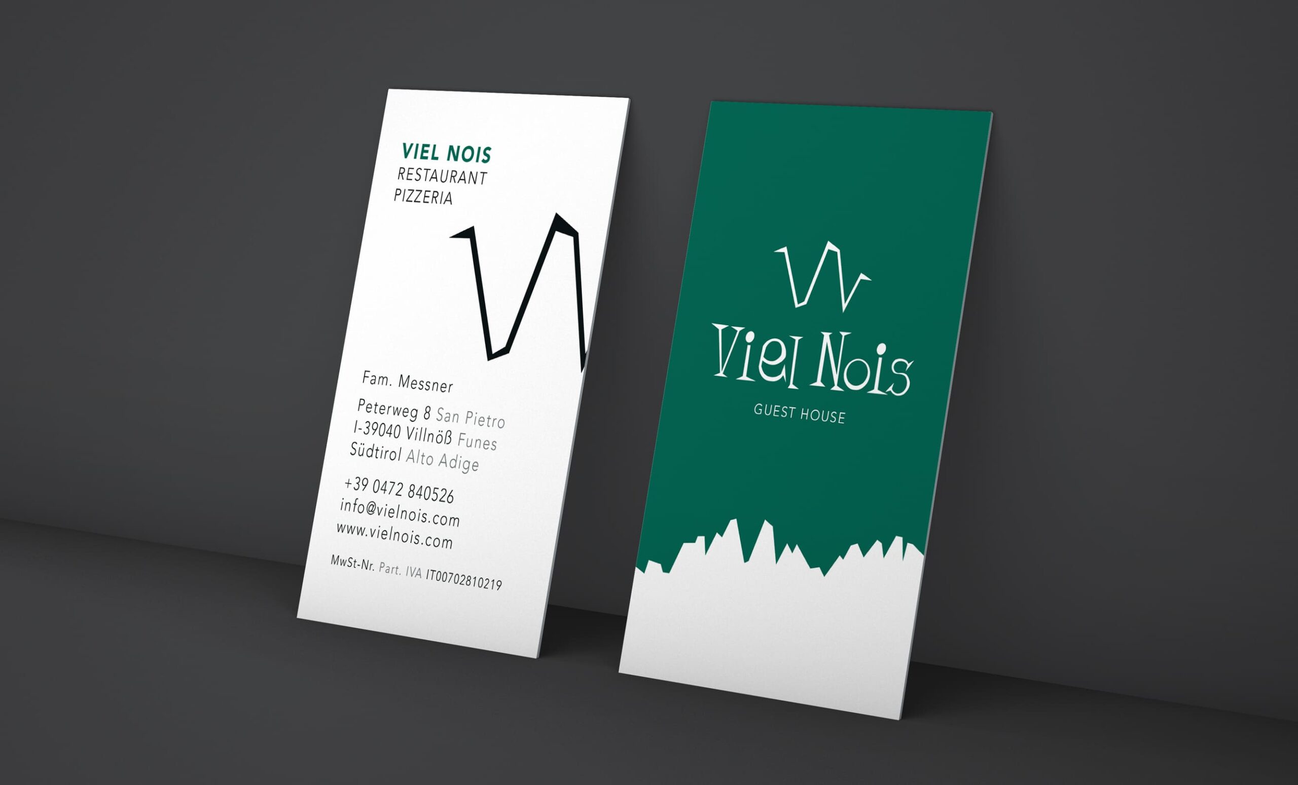 Viel nois Logodesign
